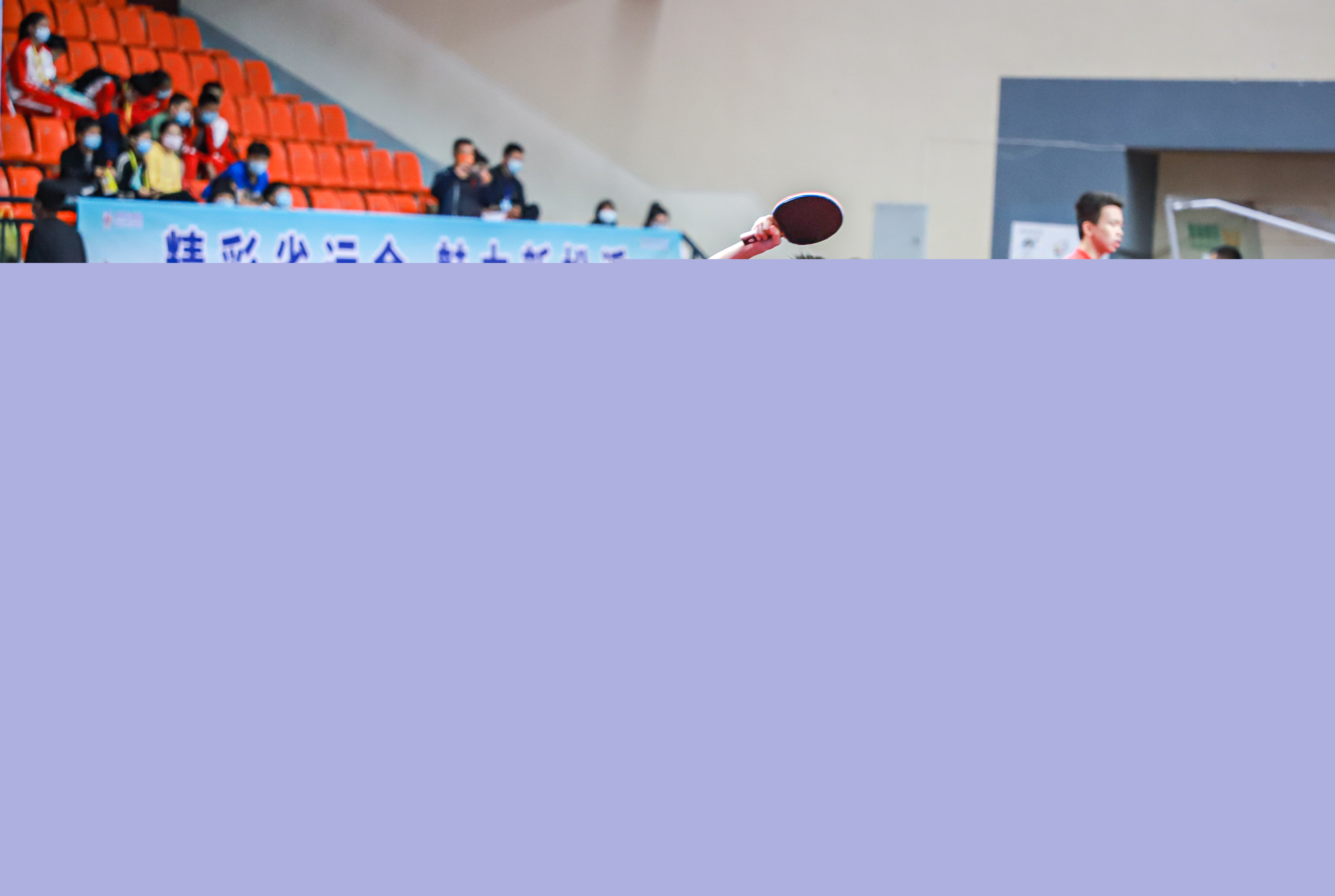 还包括他们 还包括他们